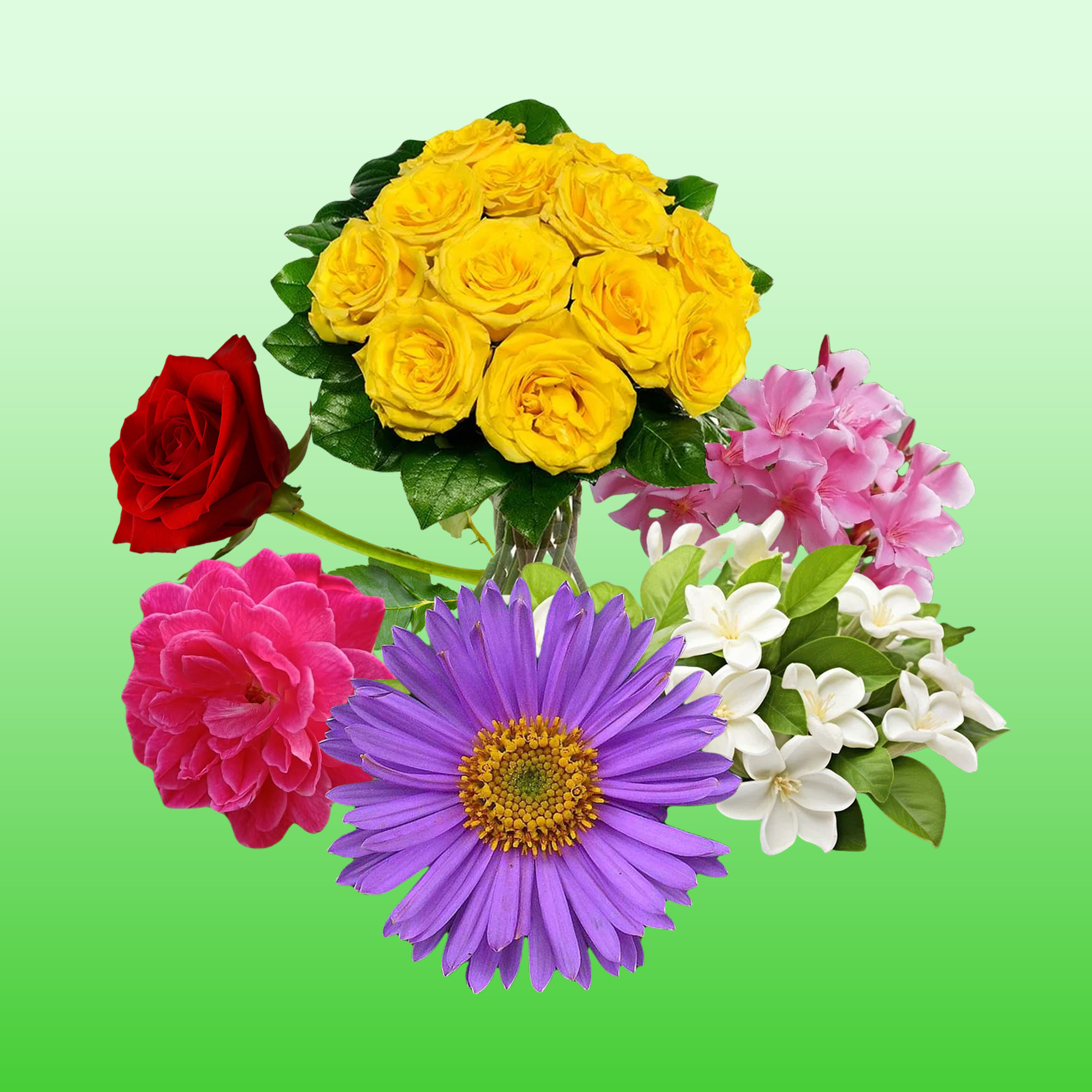 flower